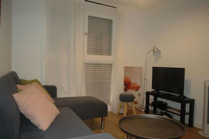Palais De Justice Apartment Toulouse Rum bild
