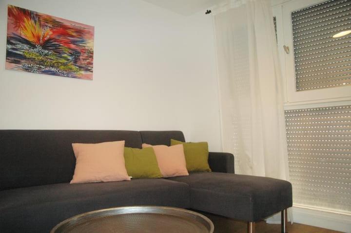 Palais De Justice Apartment Toulouse Rum bild